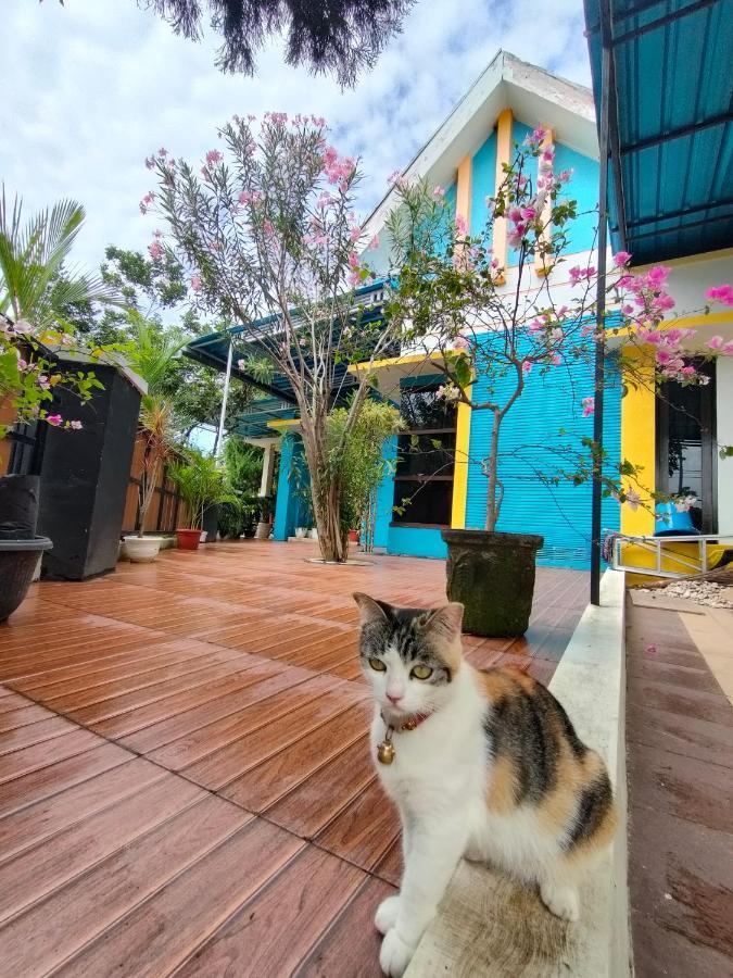 Omah Mendut Homestay バニュワンギ エクステリア 写真